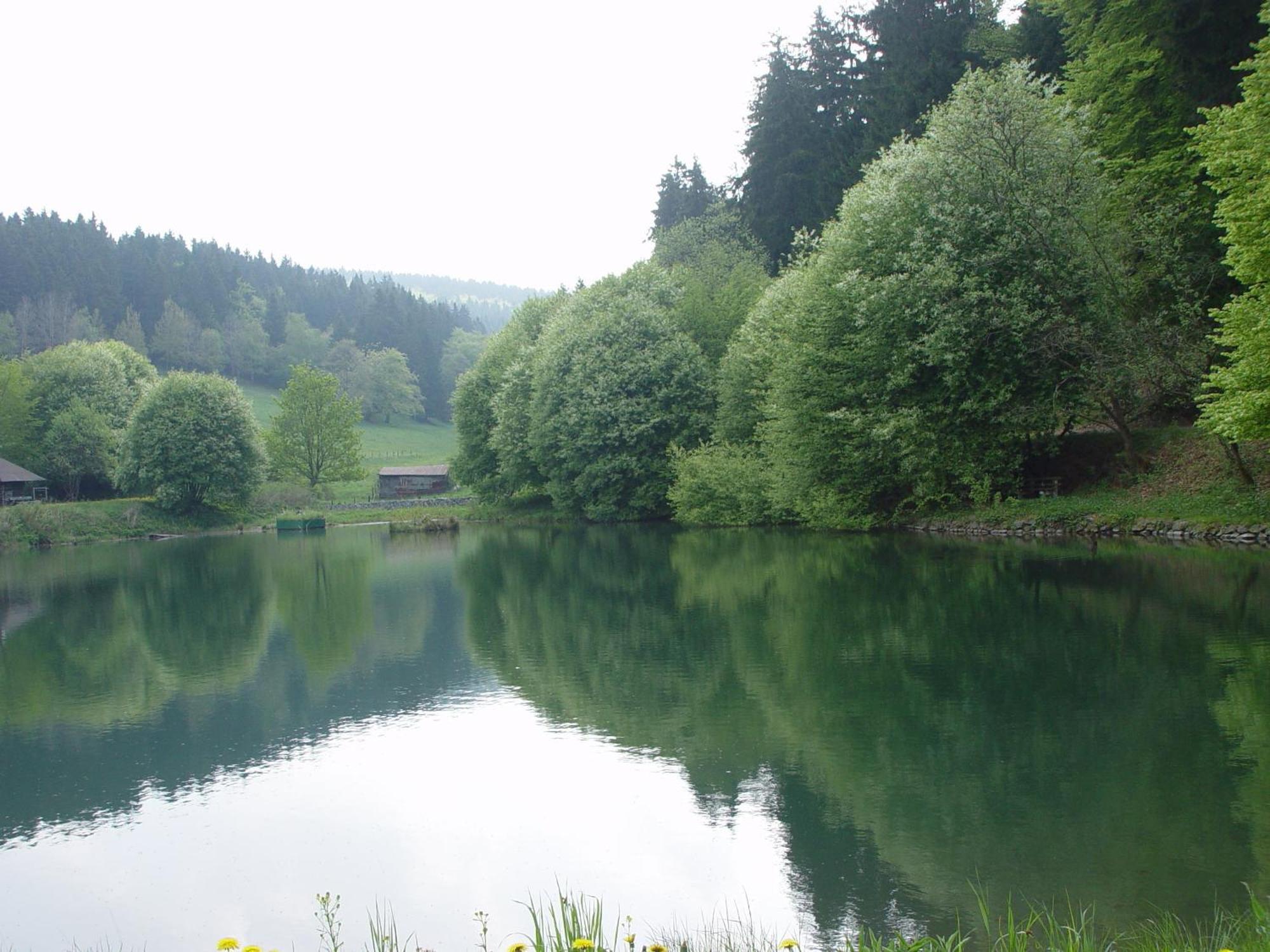 Pension Sonnenheim Winterberg Exterior photo